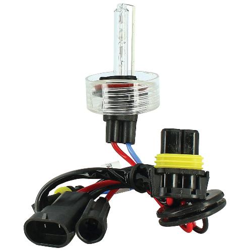Ampoules H11 12V 1 Ampoule 6500K H11 - EvoFormance