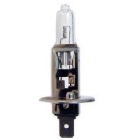 1 Ampoule H1 24V 70W P14.5s x10 - Ampoule halogene de phare
