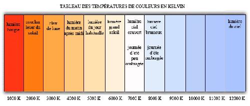 Ampoules BA 12V 10 Ampoules BAu15S - 12V 21W 3300K - Feux Stop - Blanc