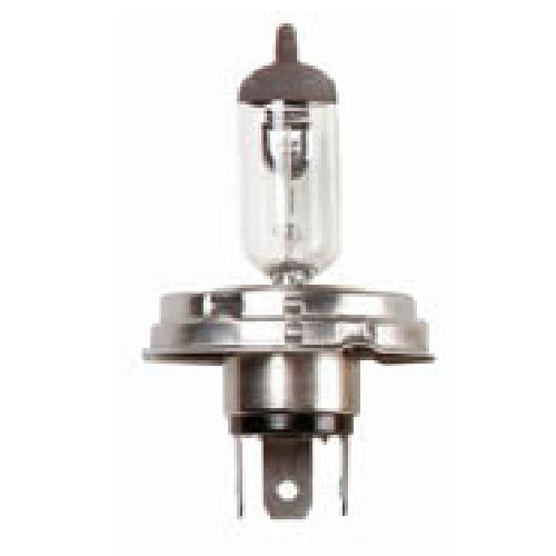 Ampoules H4 12V 10 Ampoules H4 P45T 60-55w 12V - Code europeen