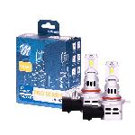 Ampoules de Remplacement Xenon Origine 2 Ampoules Led Hir2 42W 12V 6000K 4600Lm Max Plug And Play