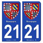 Stickers Plaques Immatriculation 2 autocollants Region Departement 21 SR21-1
