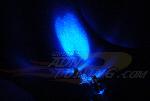 Neons Leds & lumieres 2 Megaspots LED NA50BL Bleu 12V sur allume-cigare