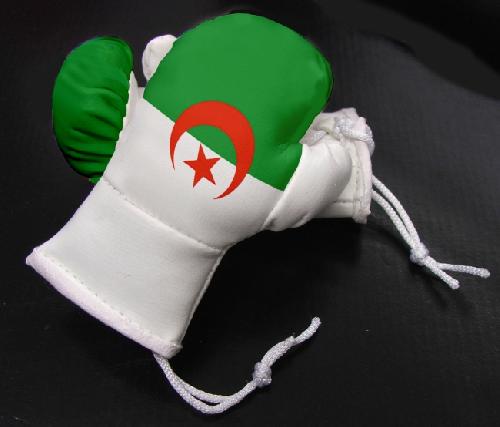 2 mini gants de boxe cuir drapeau Algerie