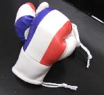 2 mini gants de boxe cuir drapeau France