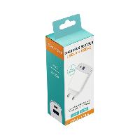 Accessoire Telephone Chargeur secteur 1 USB-A et 1 Type-C 20W SD