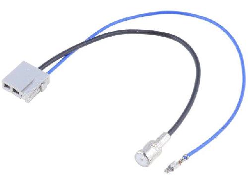 Adaptateurs Antenne Adaptateur Antenne ISO F compatible avec Honda Accord ap08