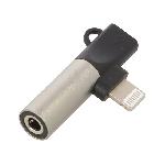 Cables Jack Adaptateur- argent avec prise jack 3.5mm et prise Apple Lightning
