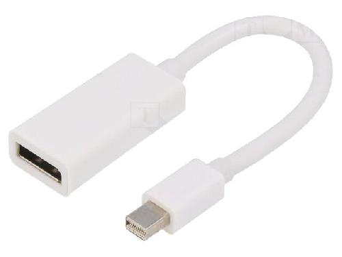 Cable - Connectique Pour Peripherique Adaptateur DisplayPort 1.1 DisplayPort femelle vers Mini DisplayPort prise male Full HD 0.15m blanc