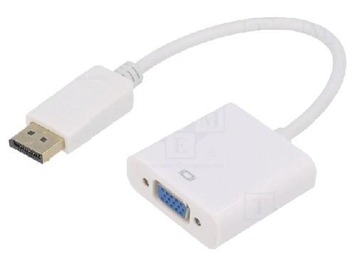 Cable - Connectique Pour Peripherique Adaptateur DisplayPort 1.1a prise male D-Sub 15pin HD femelle Full HD 0.15m - blanc