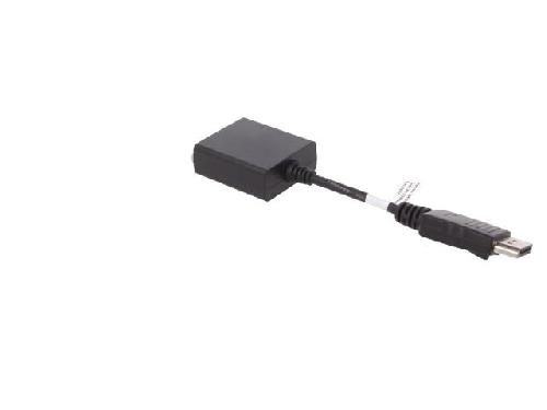 Cable - Connectique Pour Peripherique Adaptateur DisplayPort male vers DVI-I femelle 150mm noir