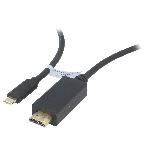 Adaptateur HDMI prise male USB C prise male 3m - Noir