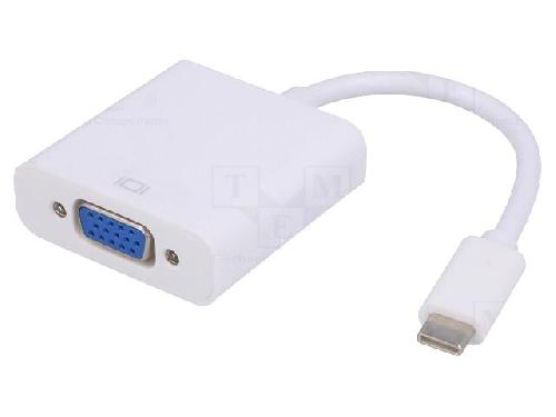 Cable - Connectique Pour Peripherique Adaptateur- USB 3.1- D-Sub 15pin HD femelle - USB C prise male - 0.15m - Full HD - Blanc