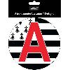 Adhesifs & Stickers 1 Disque A Adhesif Jeune Conducteur Bretagne