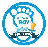 Adhesifs & Stickers Adhesif Pre Decoupe Bebe A Bord - It'S A Boy X1 D 8 Cm