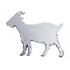 Adhesifs & Stickers Adhesif Sticker 3D Chrome - Cabri