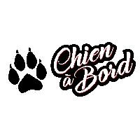 Adhesifs & Stickers Auto Autocollant Chien a bord 12x5cm