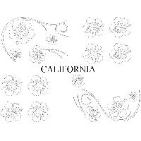 Adhesifs & Stickers Auto Set Adhesifs -ELEMENT CALIFORNIA- Blanc - Car Deco