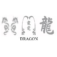 Adhesifs & Stickers Auto Set Adhesifs -ELEMENT DRAGON- Gris - PROMO ADN - Car Deco