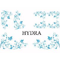 Adhesifs & Stickers Auto Set Adhesifs -ELEMENT HYDRA- Bleu - Car Deco