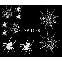 Adhesifs & Stickers Auto Set Adhesifs -ELEMENT SPIDER- Blanc - PROMO ADN - Car Deco