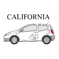 Adhesifs & Stickers Auto Set complet Adhesifs -CALIFORNIA- Argent - Taille M - Car Deco