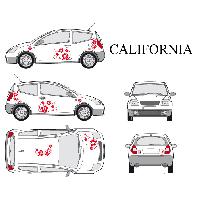 Adhesifs & Stickers Auto Set complet Adhesifs -CALIFORNIA- Rouge - Taille M - Car Deco