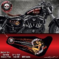 Adhesifs & Stickers Auto Stickers Harley Davidson Sportster CHERRY BOMB compatible avec Forty-eight Roadster Seventy-Two Iron 883 Superlow 1200 Custom - Run-R