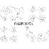 Adhesifs & Stickers Set Adhesifs -ELEMENT CALIFORNIA- Blanc - Car Deco