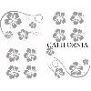 Adhesifs & Stickers Set Adhesifs -ELEMENT CALIFORNIA- Gris - Car Deco