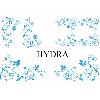 Adhesifs & Stickers Set Adhesifs -ELEMENT HYDRA- Bleu - Car Deco