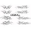 Adhesifs & Stickers Set Adhesifs -ELEMENT TRIBAL- Gris - Car Deco SM
