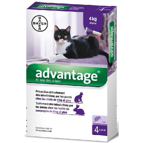 Antiparasitaire - Pipette - Lotion - Collier - Pince - Spray -shampoing - Crochet Tique Advantage Solution Antipuce Chat Lapin +4kg 4 pipettes