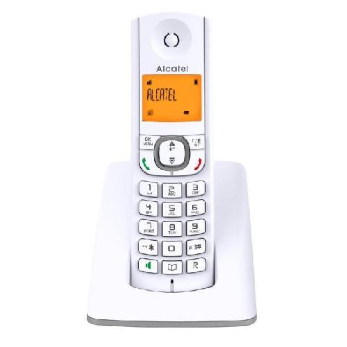 Telephone Fixe - Pack Telephones Alcatel F530 Solo Telephone Sans Fil Sans Repondeur Gris