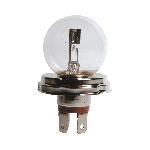 Ampoules R2 Ampoule DUPLOasym. 4540W P45t bls