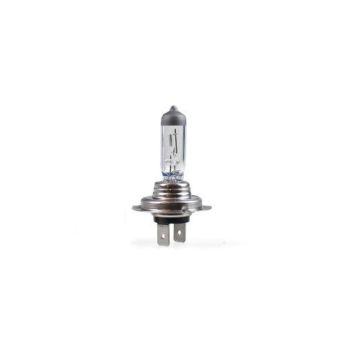 Ampoules H7 12V Ampoule H7 100w Px26d 12v -BOITE- - ArmTech