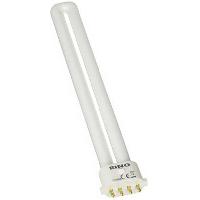 ampoule-led-halogene