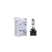 Ampoule Phare - Ampoule Feu - Ampoule Clignotant Ampoule 12v 27w Pg13 1-880 H27w x10