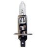 Ampoules 24V 1 Ampoule H1 24V 70W P14.5s x10 - Ampoule halogene de phare