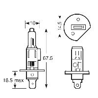 ampoules-24v ampoules-24v