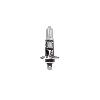 Ampoules H1 12V 1 Ampoule H1 12v 100w P14.5s -BOITE- - ArmTech