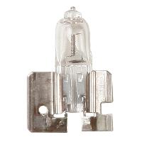 ampoules-h2-12v