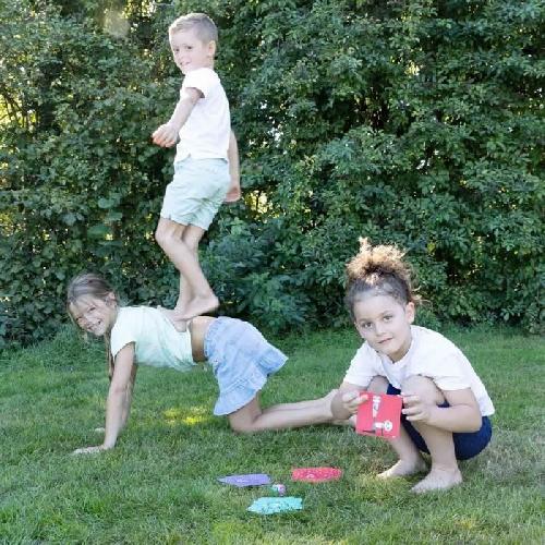 Jeu De Quille - Jeu D'anneau - Jeu De Boule - Jeu De Palet Animaux acrobates - Jeu d'adresse - SES CREATIVE - Activité hilarante pour le jeu en plein air.