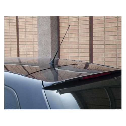 Antenne Antenne 38cm Am-Fm avec adaptateurs 5-6mm x10