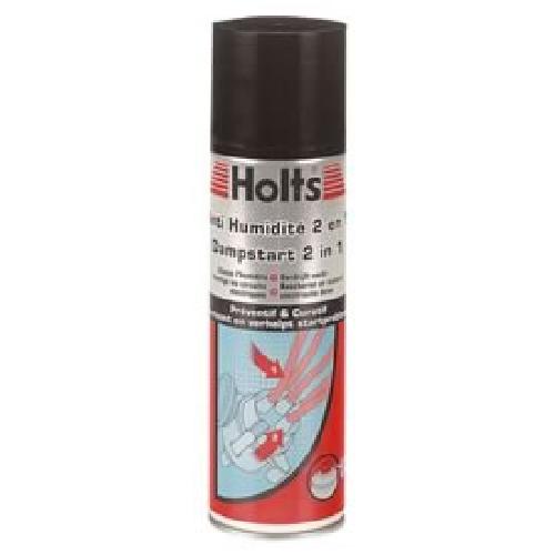 Shampoing Et Produit Nettoyant Exterieur Anti humidite 2en1 HOLTS 300ml x3