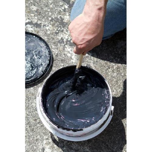 Peinture - Vernis - Traitement (lasure - Effets Decoratifs) Anti-infiltrations - RUBSON - Noir 1kg - Revetement impermeable - 100 Silicone - Resiste aux UV