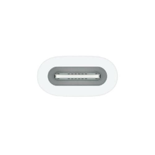 Stylet - Gant Pour Tablette Apple - Adaptateur USB-C pour Apple Pencil