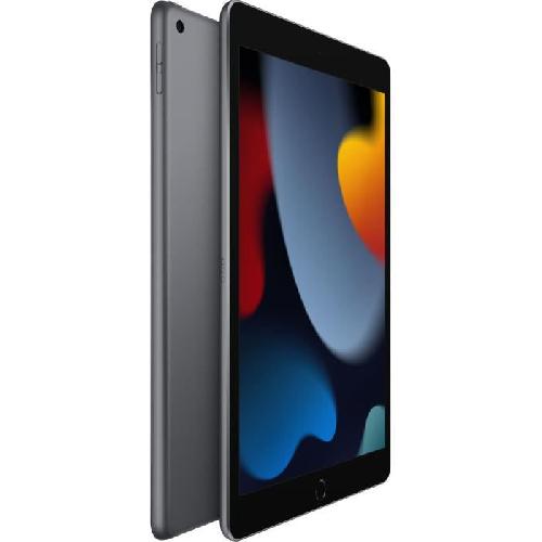 Tablette Tactile Apple - iPad (2021) - 10.2 WiFi - 256 Go - Gris Sidéral