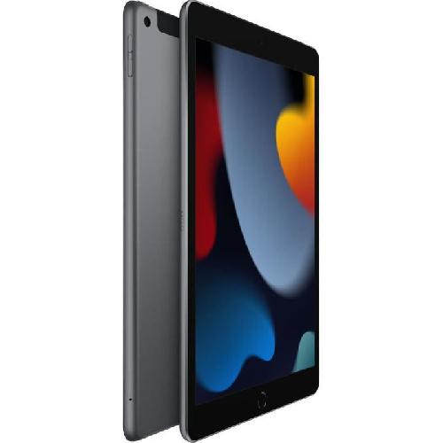 Tablette Tactile Apple - iPad (2021) - 10.2 WiFi + Cellulaire - 64 Go - Gris Sidéral