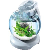 aquarium